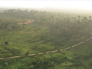 MOTHER SEDUCES SON AND DAUGHTER AND IS CAUGHT BY